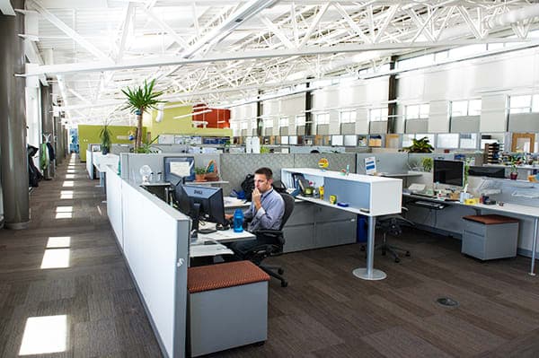 Sustainability and SMEs: Opportunities for Growth and Innovation