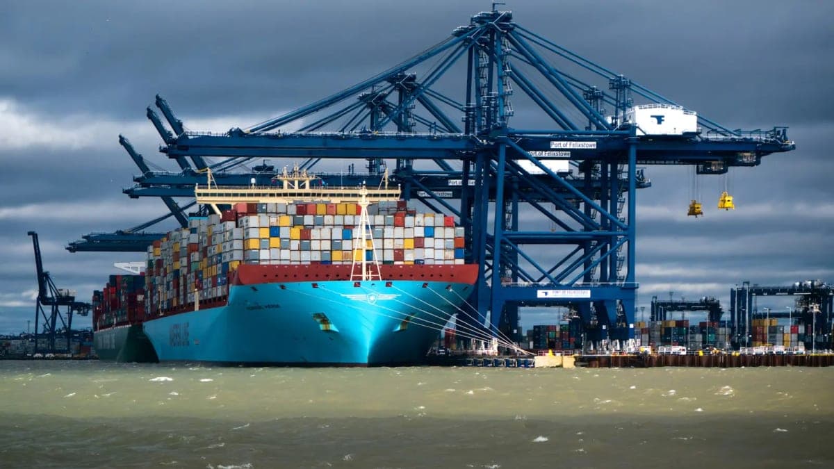 Scrapped Trade Digitalisation Plans Raise Costs and Uncertainty for UK SMEs