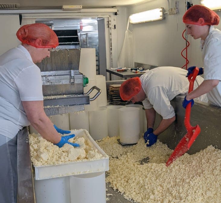 Brexit at 10: Small Businesses Still Paying the Price of a Decade of Trade Friction